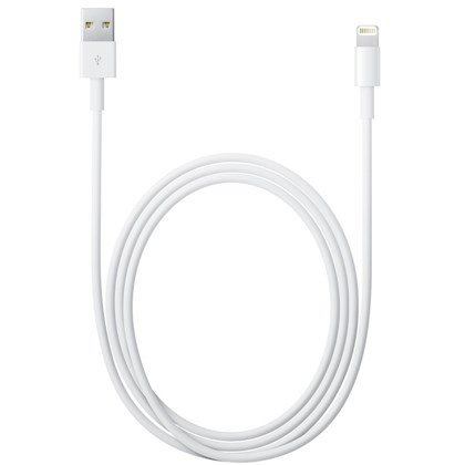 LIGHTNING TO USB CABLE (2 M)